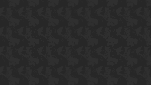 parallax 3
